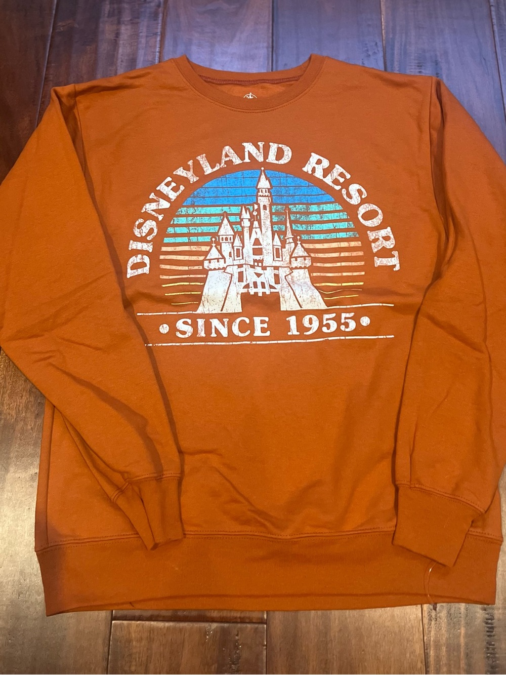Disney Rust Orange Disneyland Resort Crewneck Sweatshirt with Castle Graphic